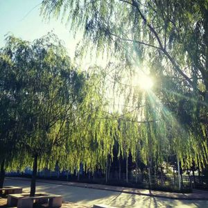 男男+纯肉+茎交
