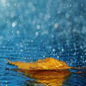 男男+纯肉+茎交
