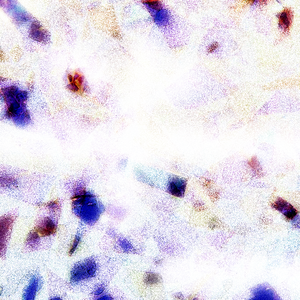 男男+纯肉+茎交
