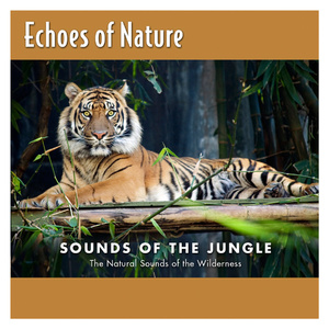 男男+纯肉+茎交
